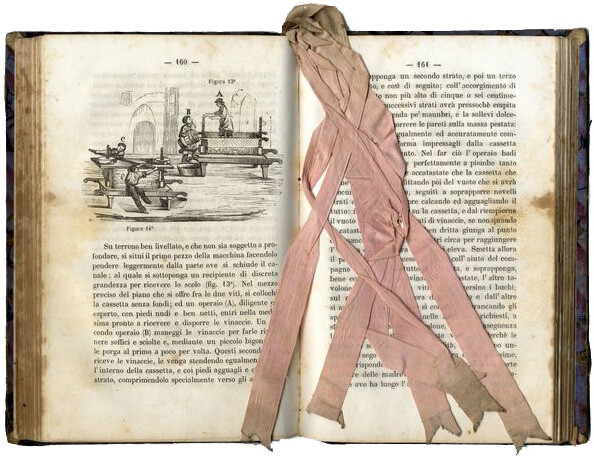 Francesco De Blasiis, Istruzione teorico-pratica sul modo di fare il vino e conservarlo