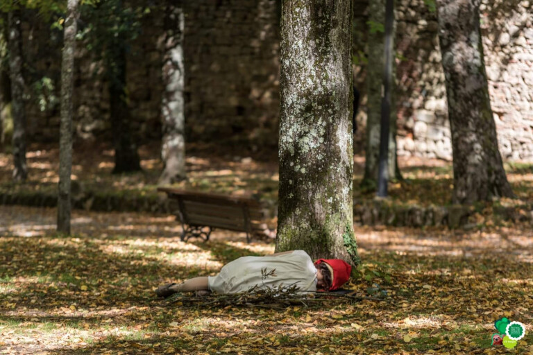 copertina di Cappuccetto Rosso nel bosco