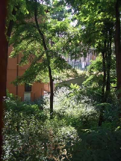 Edifici adiacenti all'area del vecchio porto si intravedono tra il verde del giardino del Cavaticcio