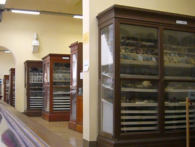 Museo di geologia e paleontologia Capellini (BO)