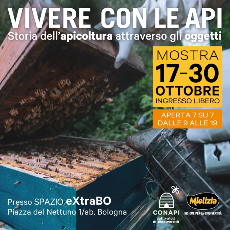 copertina di Vivere con le api