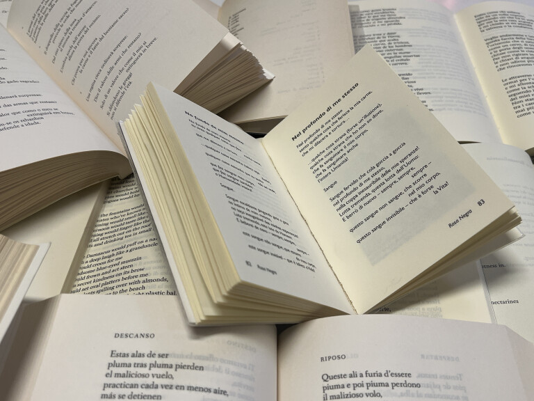 immagine di Poesie per un mondo migliore