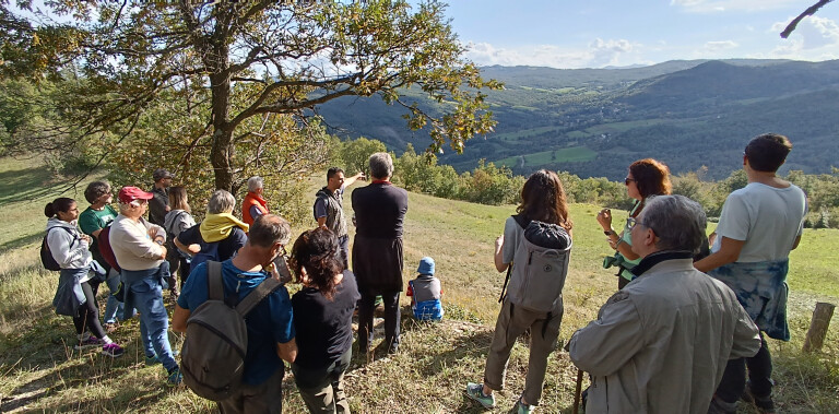 copertina di A passeggio con Giorgio Morandi, dove natura e arte si incontrano