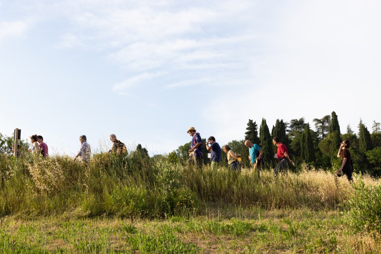 immagine di Tra gli alberi walk