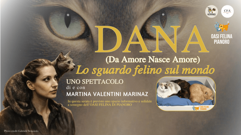 copertina di DANA: LO SGUARDO FELINO SUL MONDO. Martina Valentini Marinaz