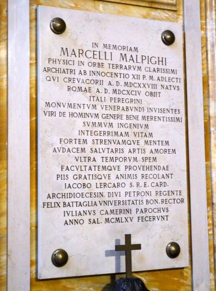 Monumento funerario di Marcello Malpighi