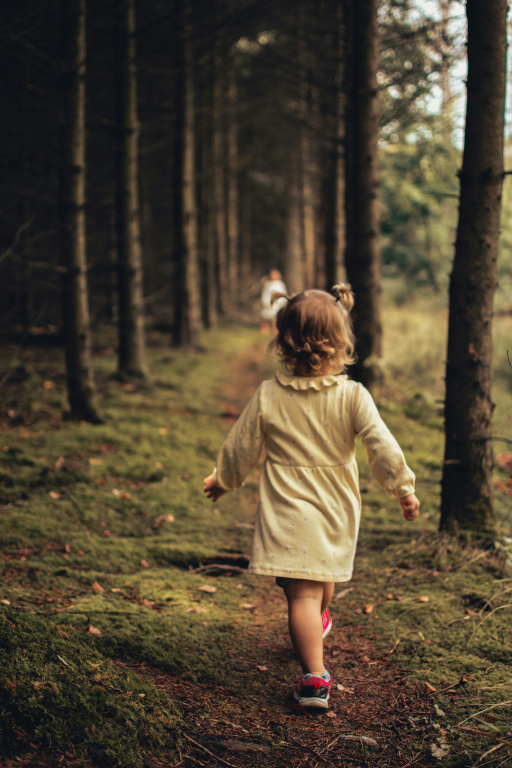 immagine di Passeggiando nel Bosco Tanari