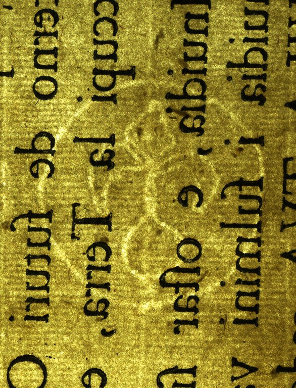image of ID. 105 giglio cerchiato