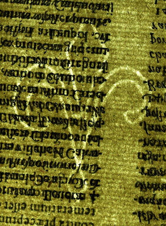 image of ID. 18 giglio