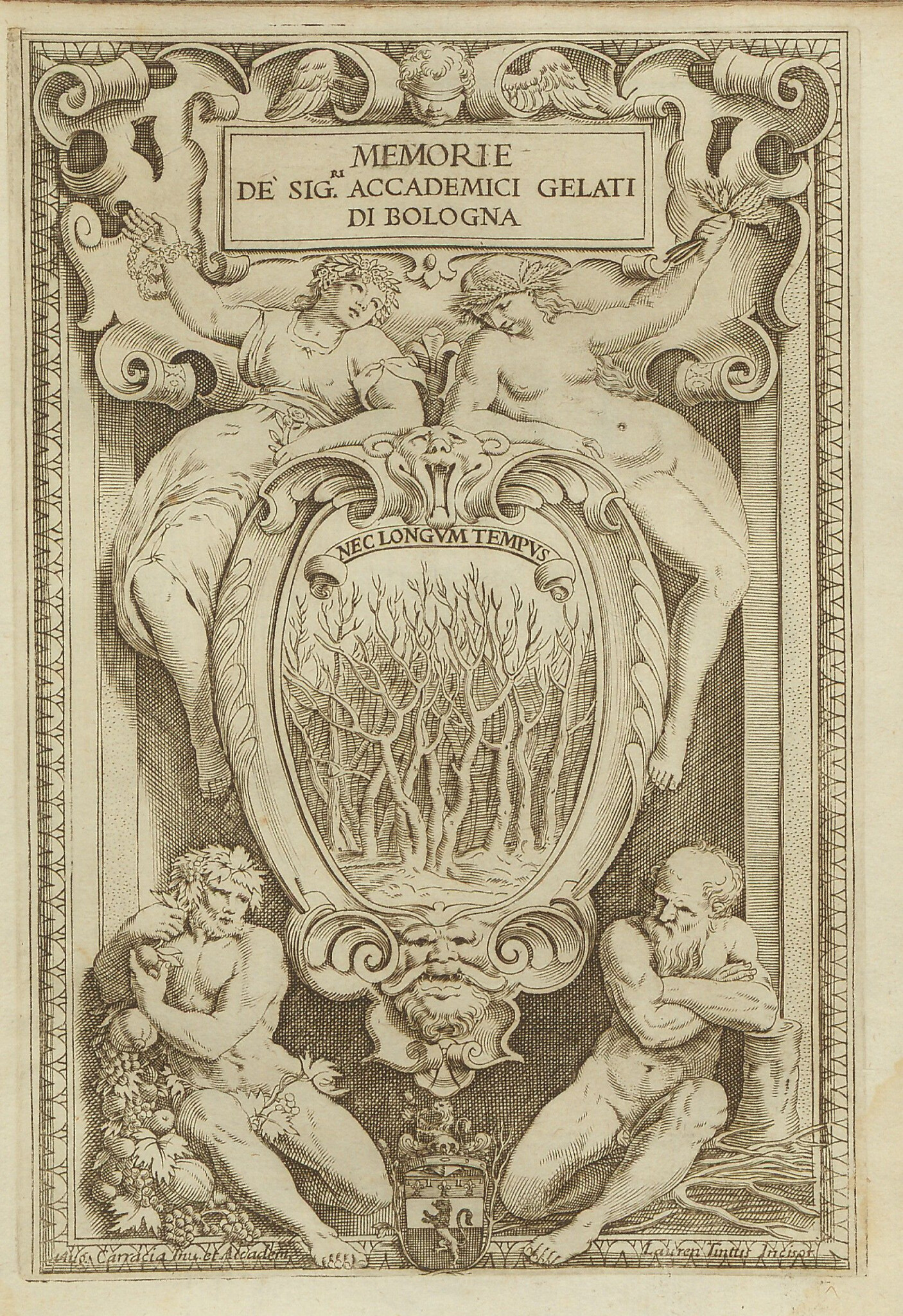 cover of Accademia dei Gelati 