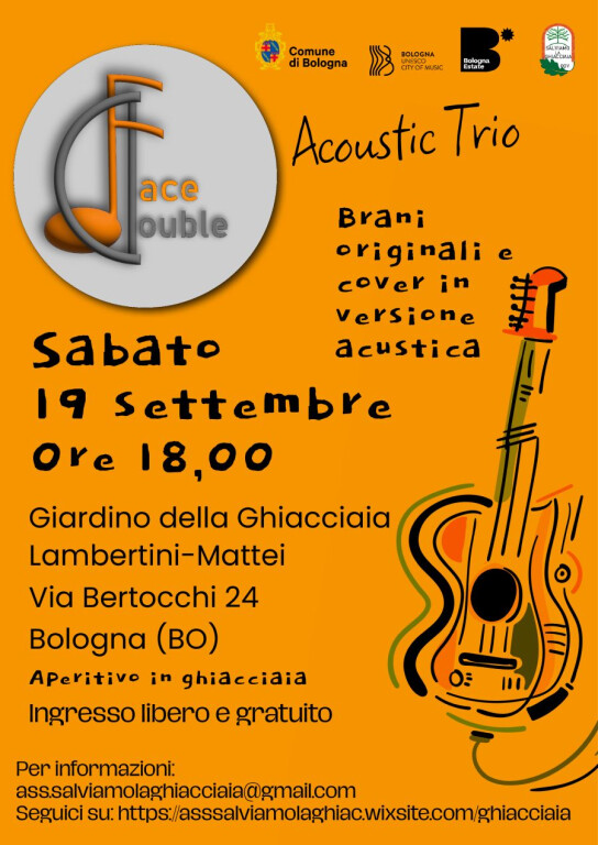 copertina di Double Face Acoustic Trio