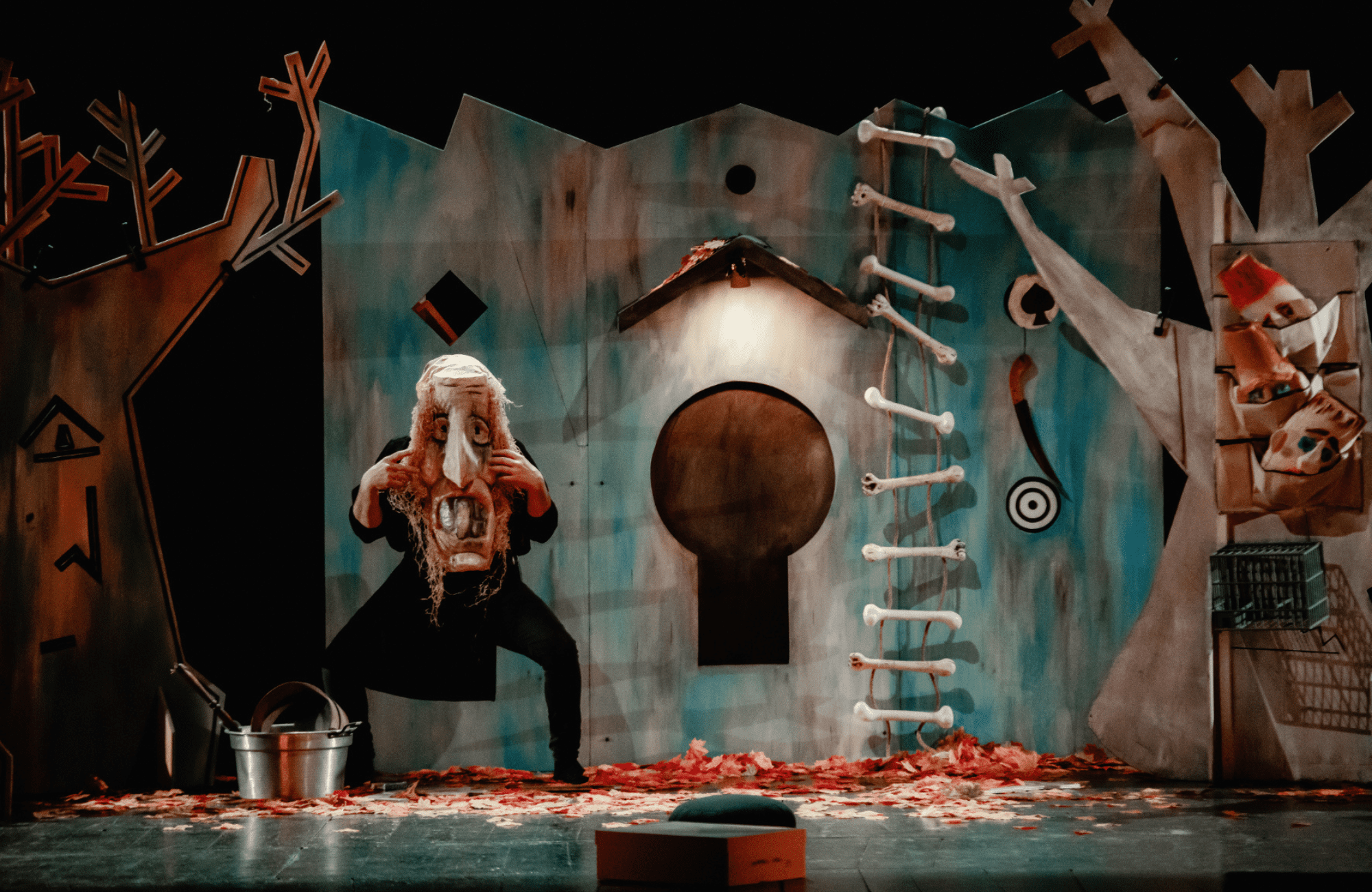 cover of Chi ha paura di Denti Di Ferro?