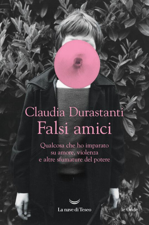 image de Falsi amici. Qualcosa che ho imparato su amore, violenza e altre sfumature del potere