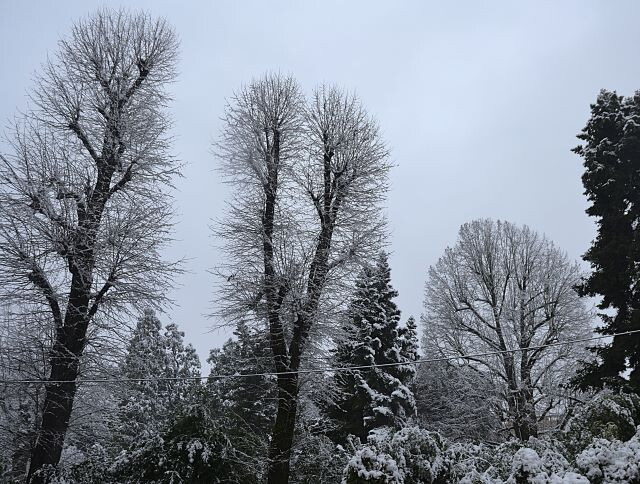 Nevicata del 6 gennaio 2026