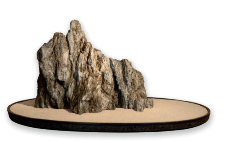 copertina di ALLA RICERCA DI SUISEKI LUNGO IL SANTERNO