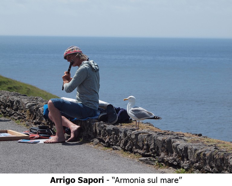 Arrigo Sapori   Armonia sul mare