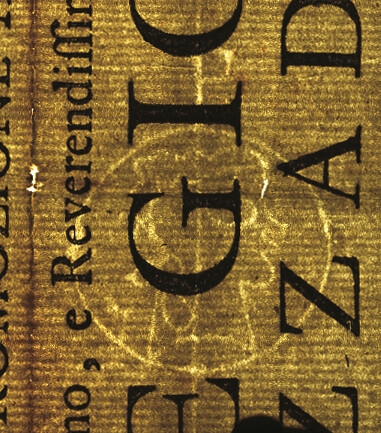 image of ID. 167 testa di profilo cerchiata, P