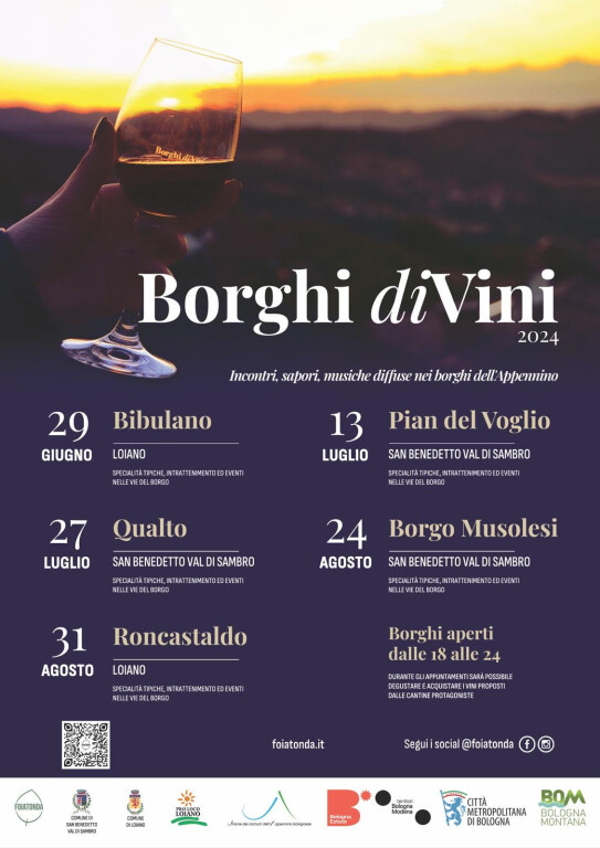 copertina di Borghi divini 