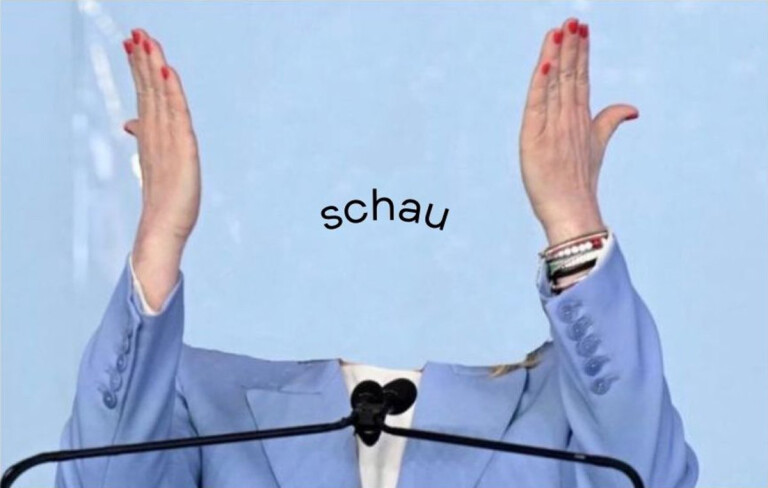 cover of schau