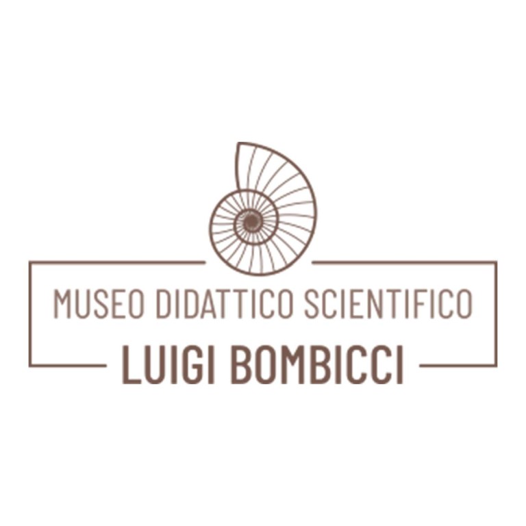 copertina di Museo didattico scientifico Luigi Bombicci