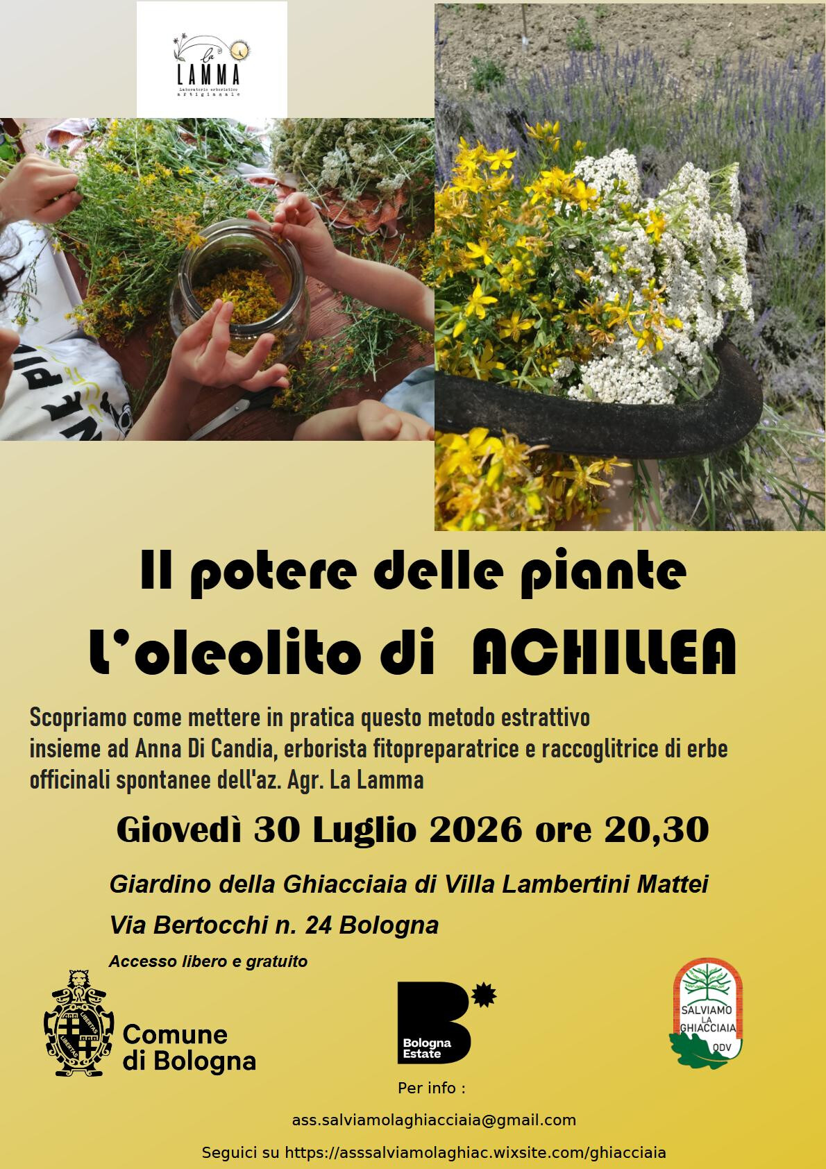 Il potere delle piante. L’oleolito di Achillea