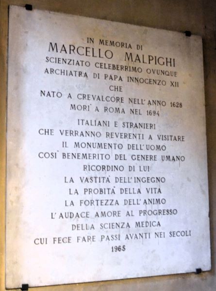 Lapide per Marcello Malpighi