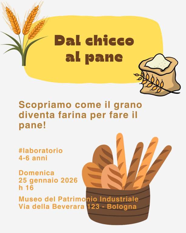 copertina di Dal chicco al pane
