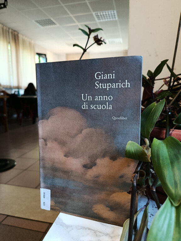 immagine di Era meglio il libro? Un anno di scuola