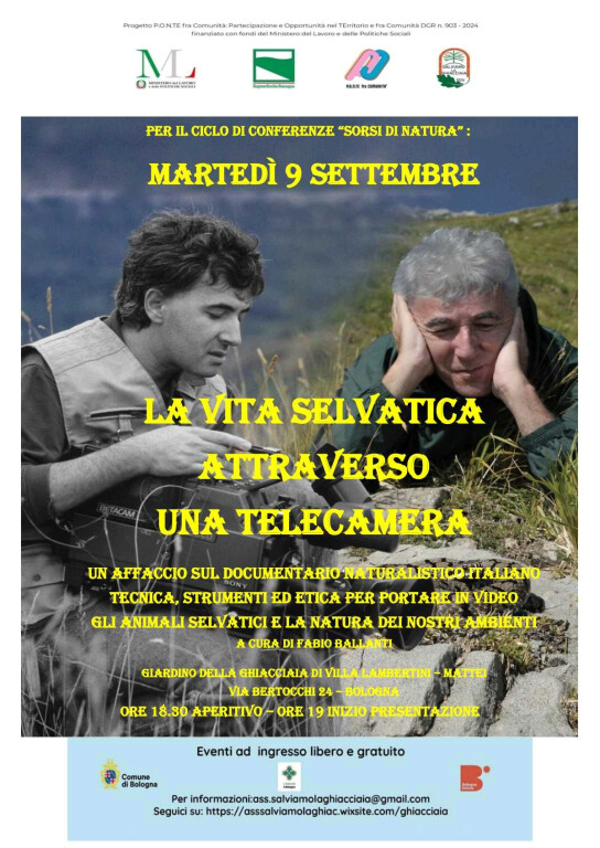 immagine di La vita selvatica attraverso una telecamera