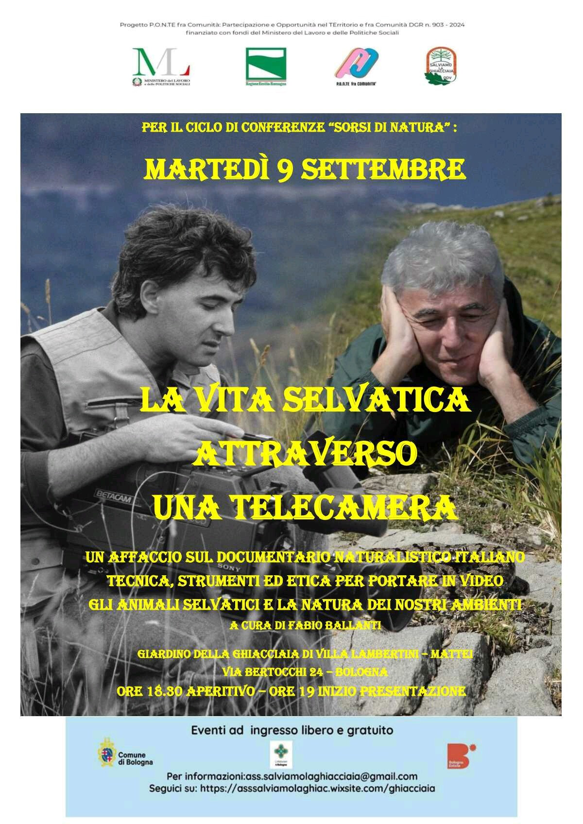 La vita selvatica attraverso una telecamera
