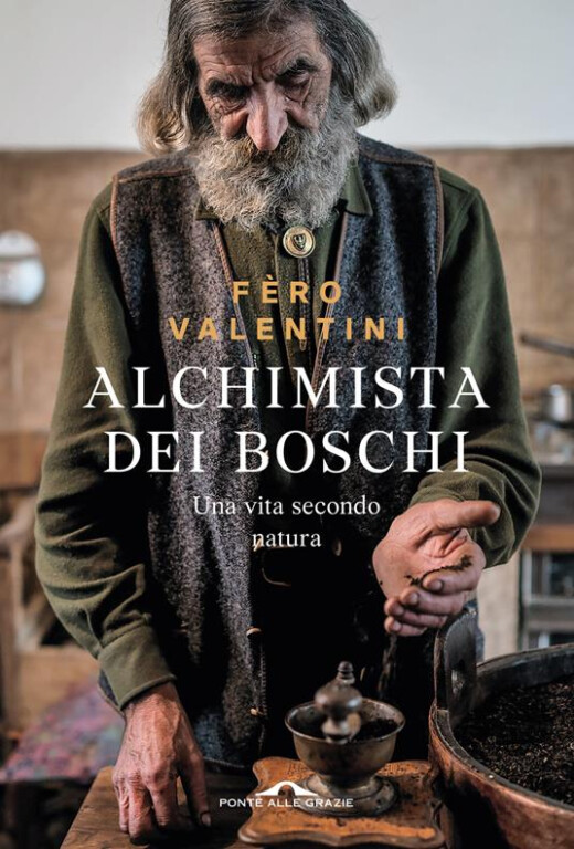 copertina di Alchimista dei boschi