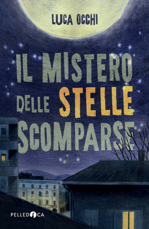 image of Il mistero delle stelle scomparse