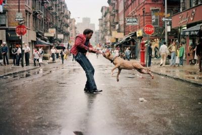 everybody-street-documentary.jpg