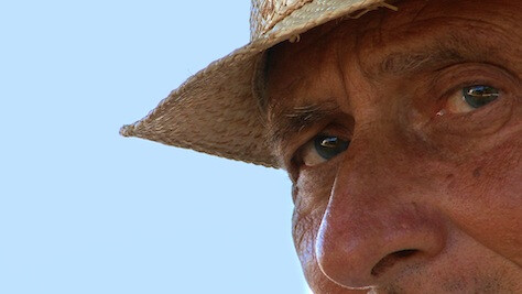 La storia quasi vera di Stefano Benni - Le avventure del lupo