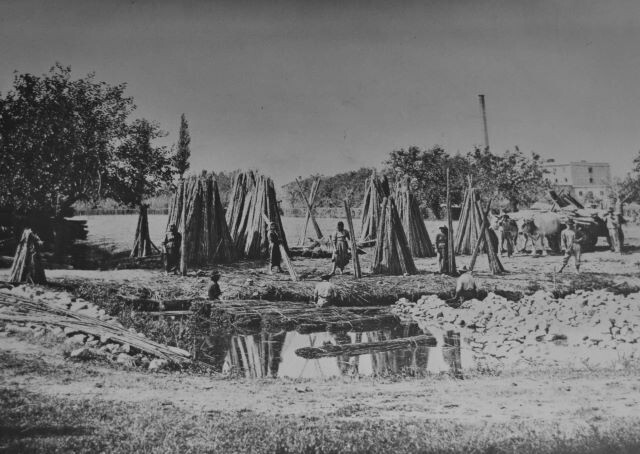 Lavorazione della canapa nel Bolognese