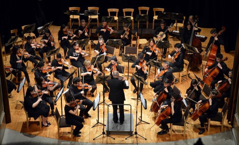 IMS Youth String Orchestra.jpg