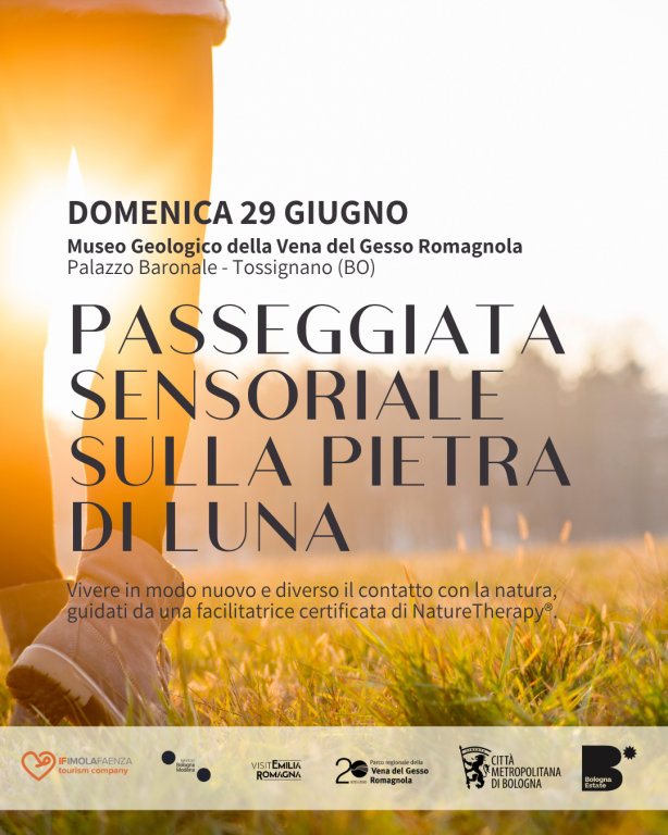 copertina di Passeggiata sensoriale sulla pietra di luna