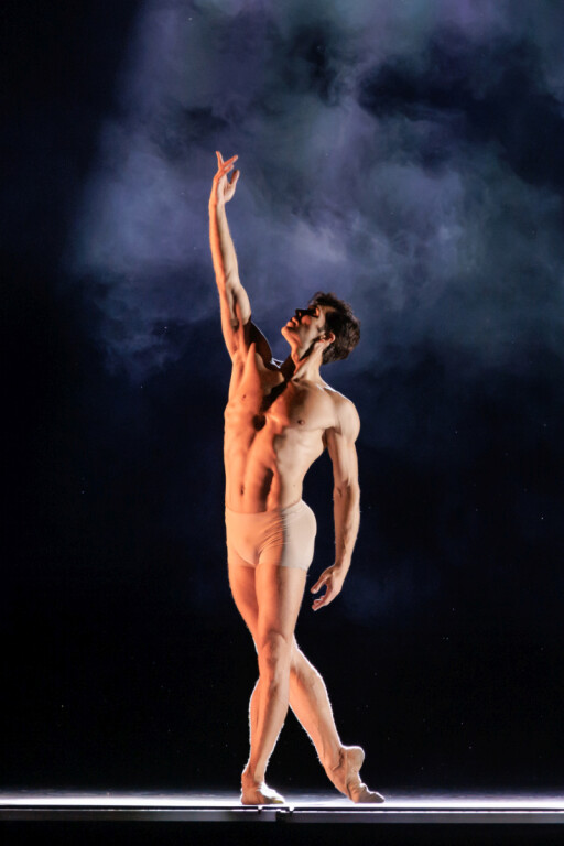 immagine di Gala Roberto Bolle and Friends