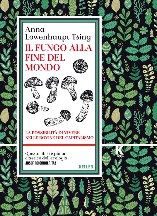 copertina di Il fungo alla fine del mondo: la possibilità di vivere nelle rovine del capitalismo