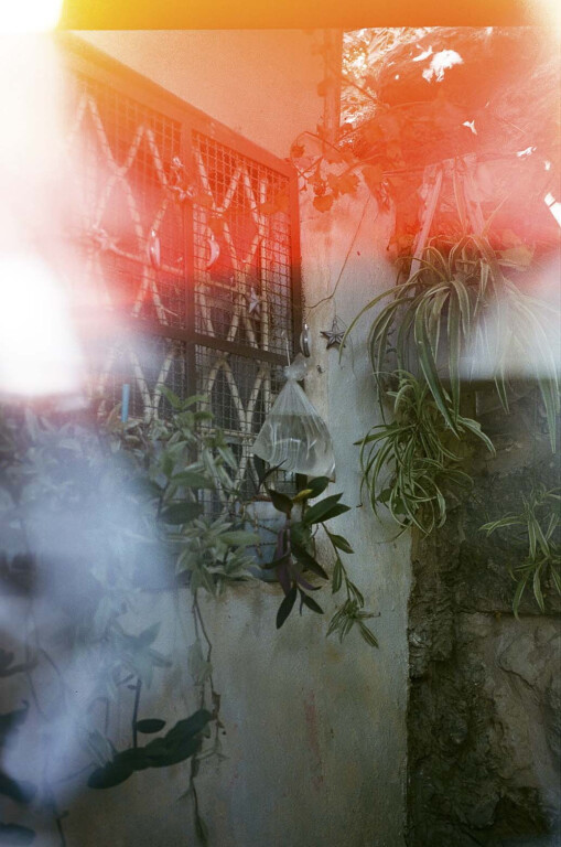 unnamed (94)