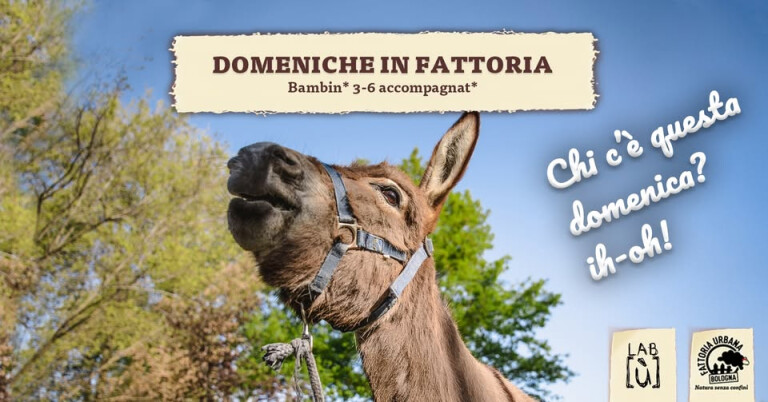 copertina di Domeniche in Fattoria