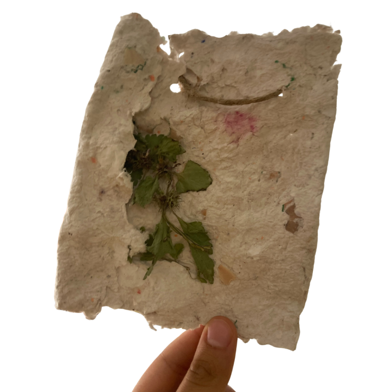 immagine di Con le mani nella carta. Crea il tuo foglio piantabile