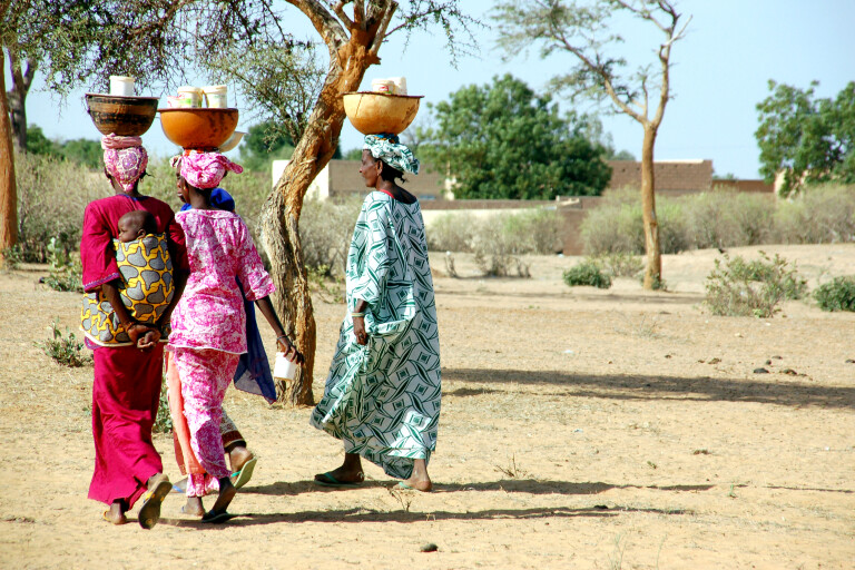 image of Le giornate della donna