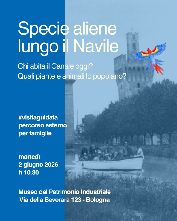 copertina di Specie aliene lungo il Navile