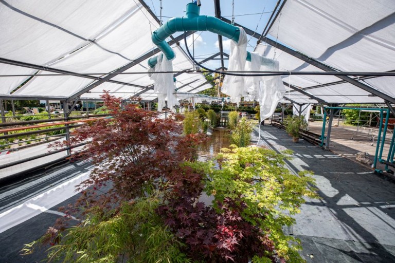 Andreco_Hydroponic Cloud 2021.jpg