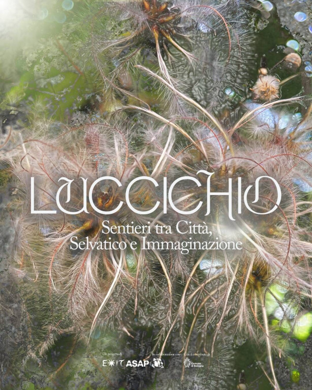 copertina di Luccichio - Sentieri tra città, selvatico e immaginazione