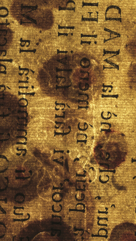 image of ID. 166 cuore a stemma, LL