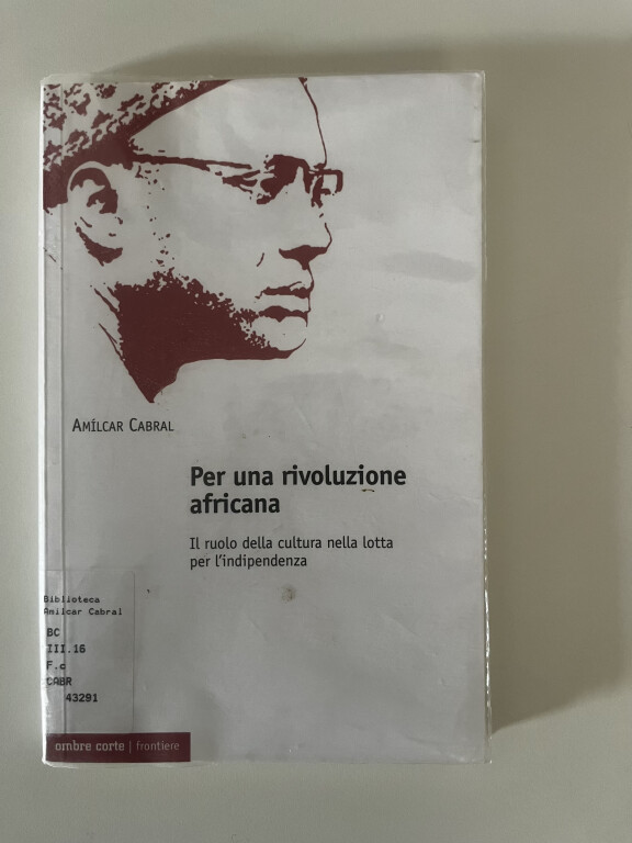 Per una rivoluzione africana  