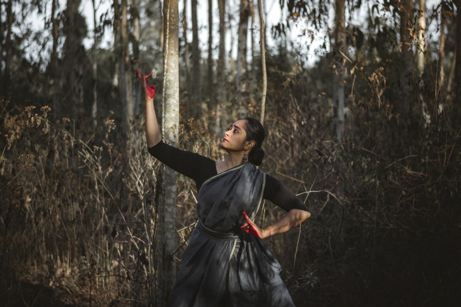 copertina di Gestures and Beyond - The world of Bharatanatyam 