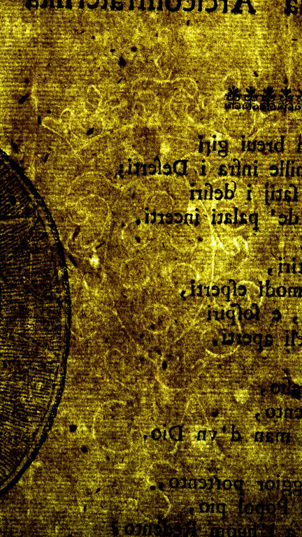 image of ID. 83 stemma Medici, GAS